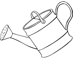 water pots regularly